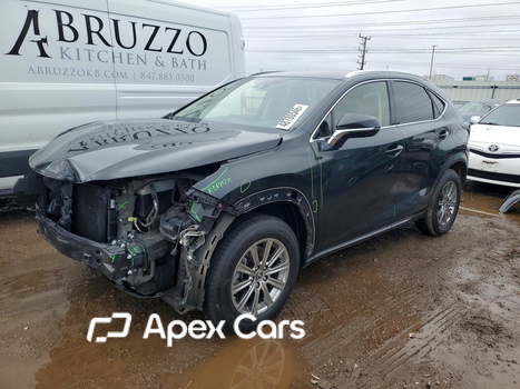 Lexus NX 2021 - Image 1 of 12