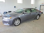 Lexus ES 2015