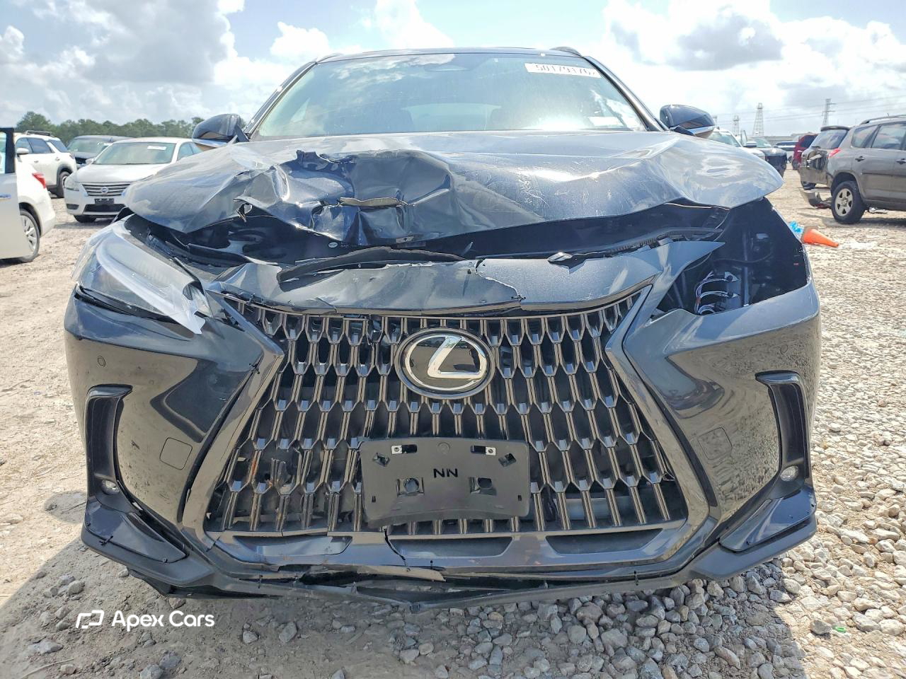 Lexus NX 2025