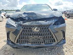 Lexus NX 2025