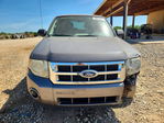 Ford Escape 2011