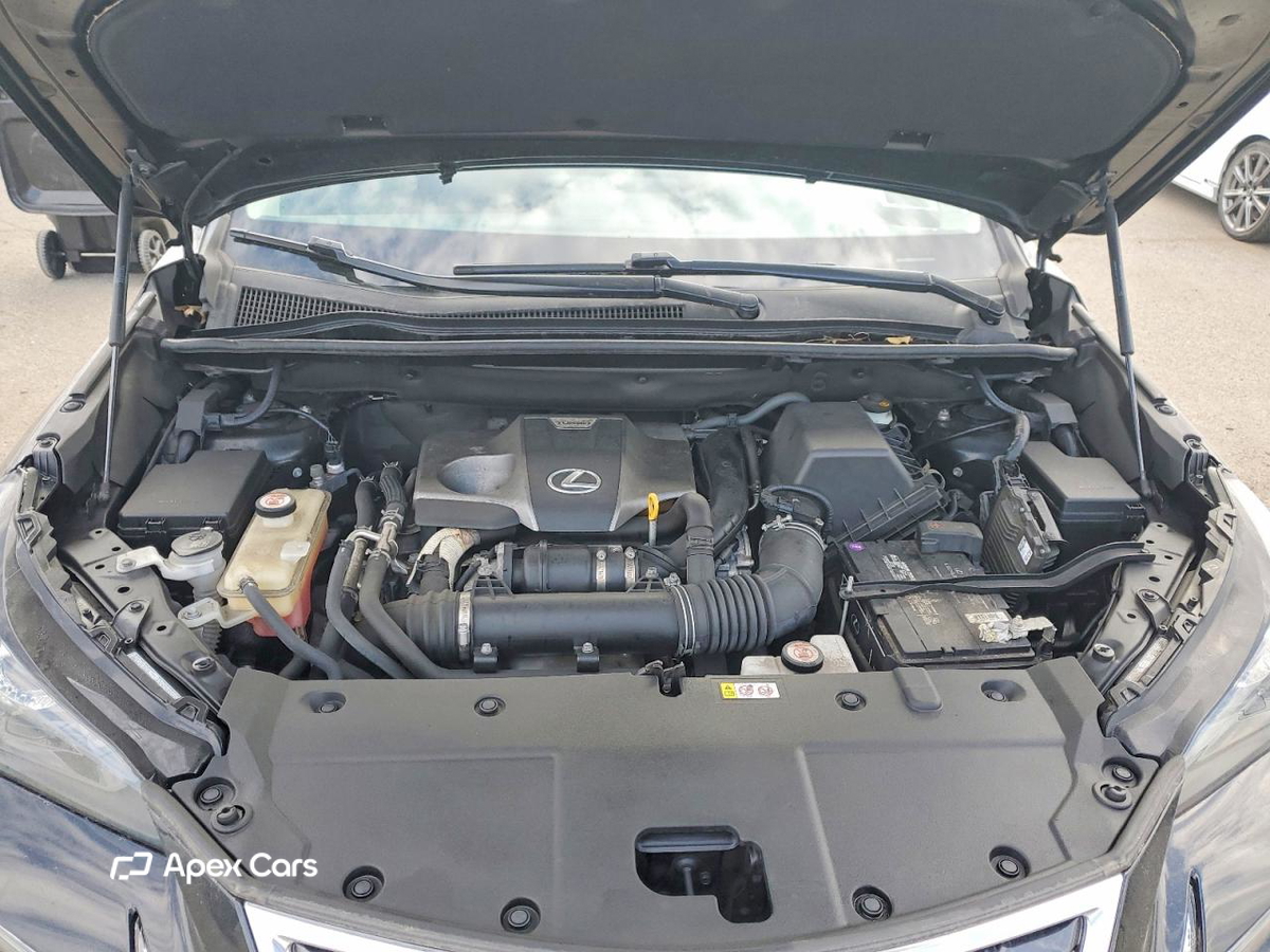 Lexus NX 2020