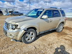 Ford Escape 2011