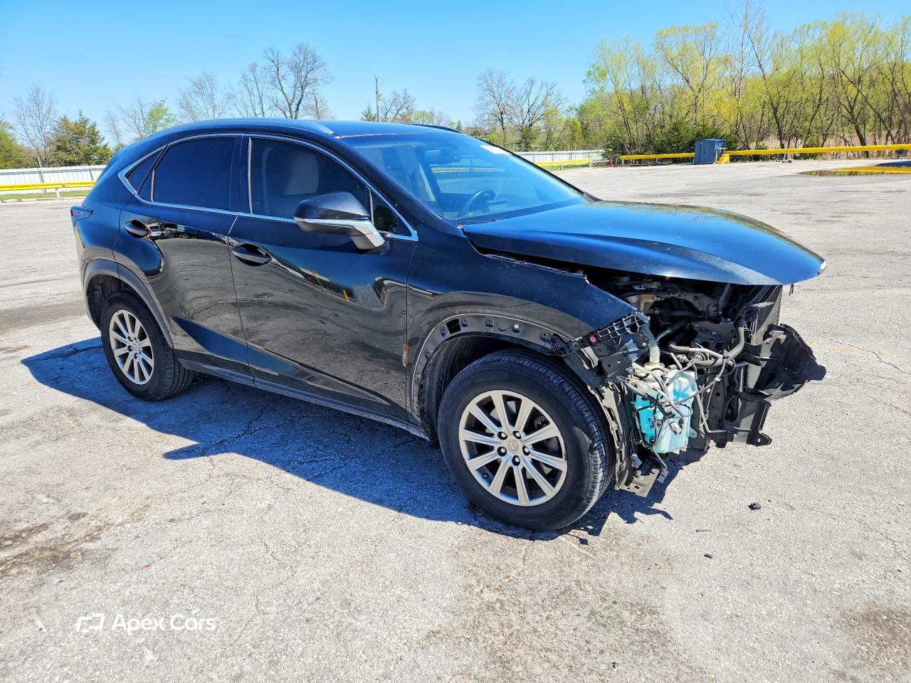 Lexus NX 2015