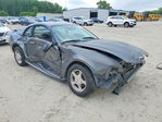 Ford Mustang 2004