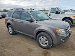 Ford Escape 2012