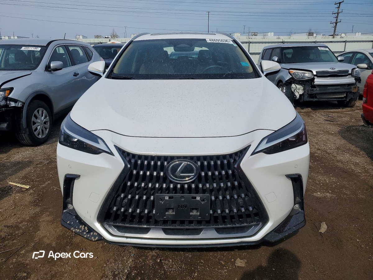 Lexus NX 2025