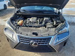 Lexus NX 2020