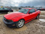 Ford Mustang 2014