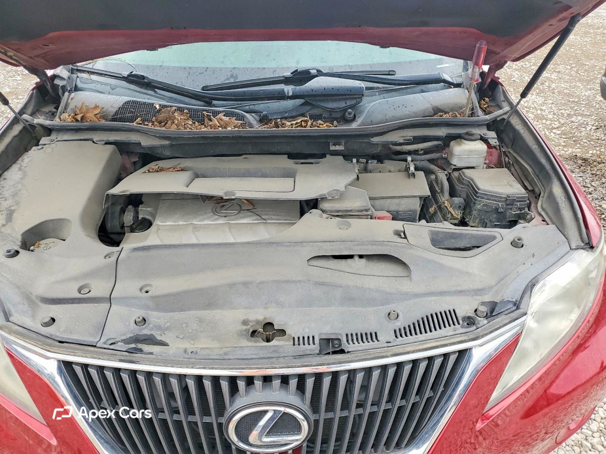 Lexus RX 2010