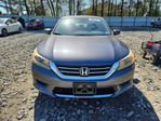 Honda Accord 2013