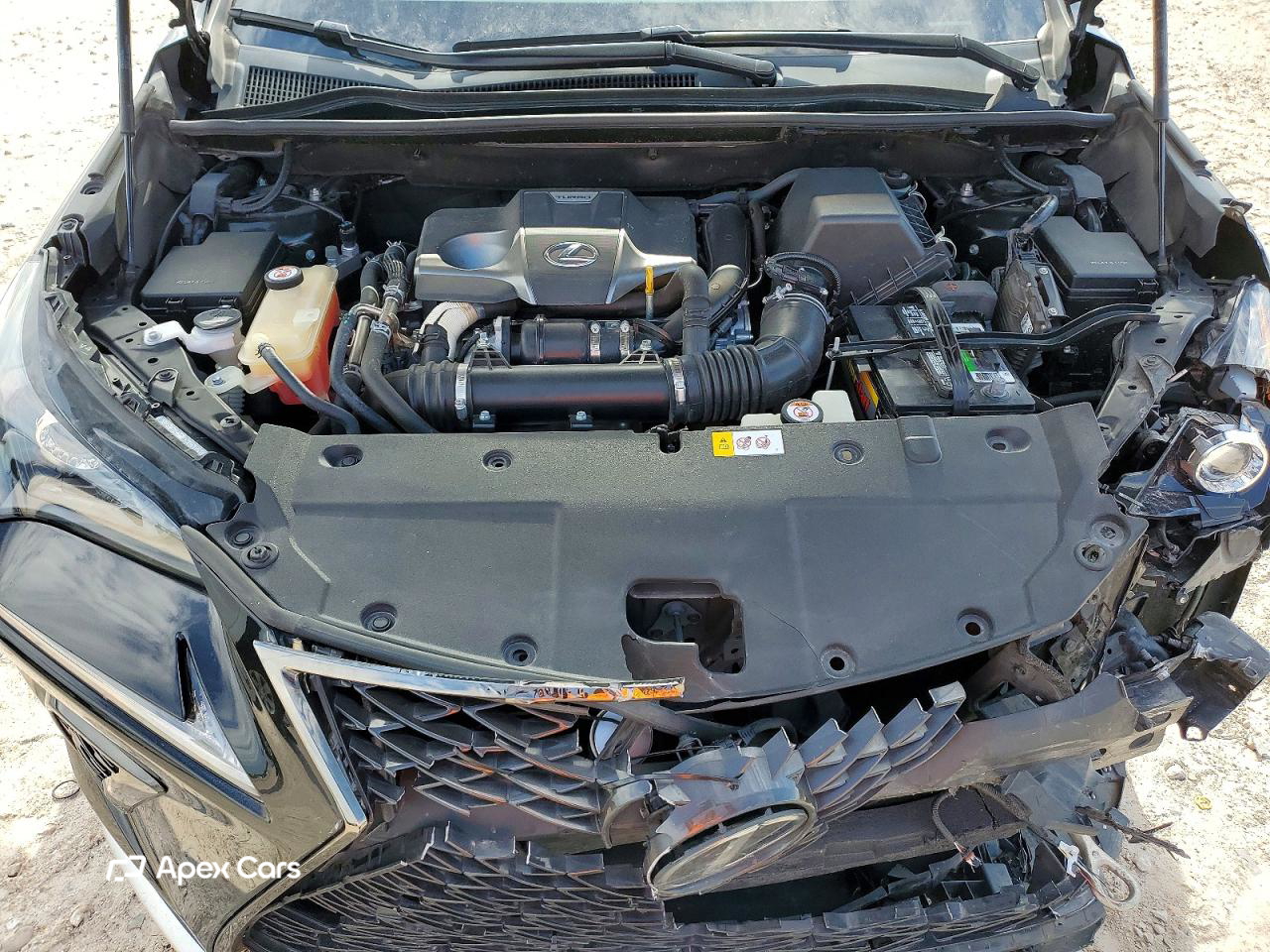 Lexus NX 2019