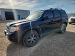 Ford Escape 2012