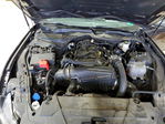 Ford Mustang 2024