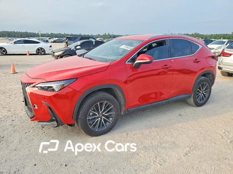 Lexus NX 2024 - Image 1 of 13
