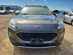 Ford Escape 2020
