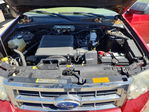Ford Escape 2010
