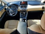 Lexus NX 2018