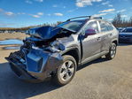 Toyota RAV 4 2024