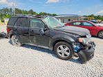 Ford Escape 2011
