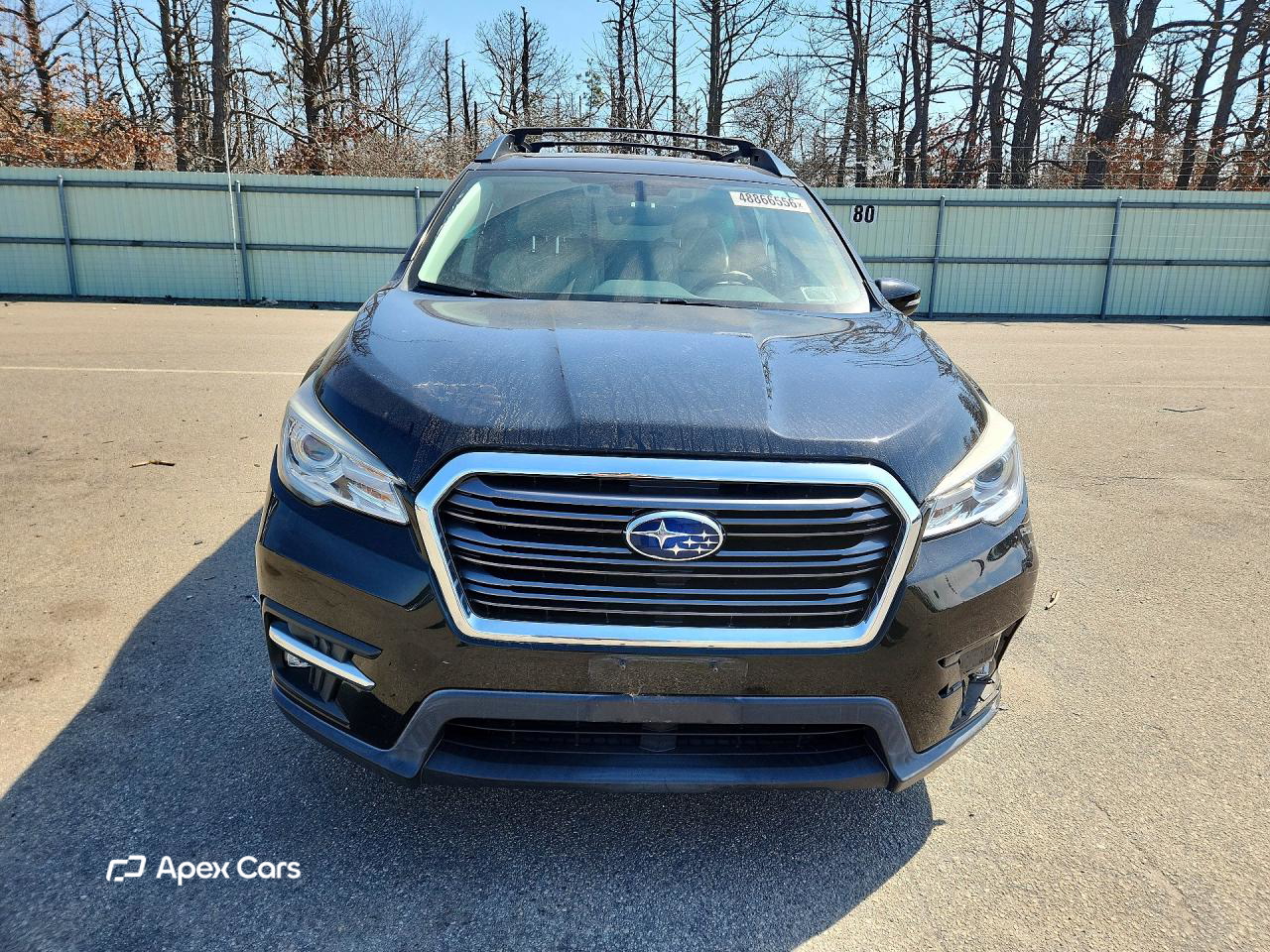 Subaru Ascent 2019