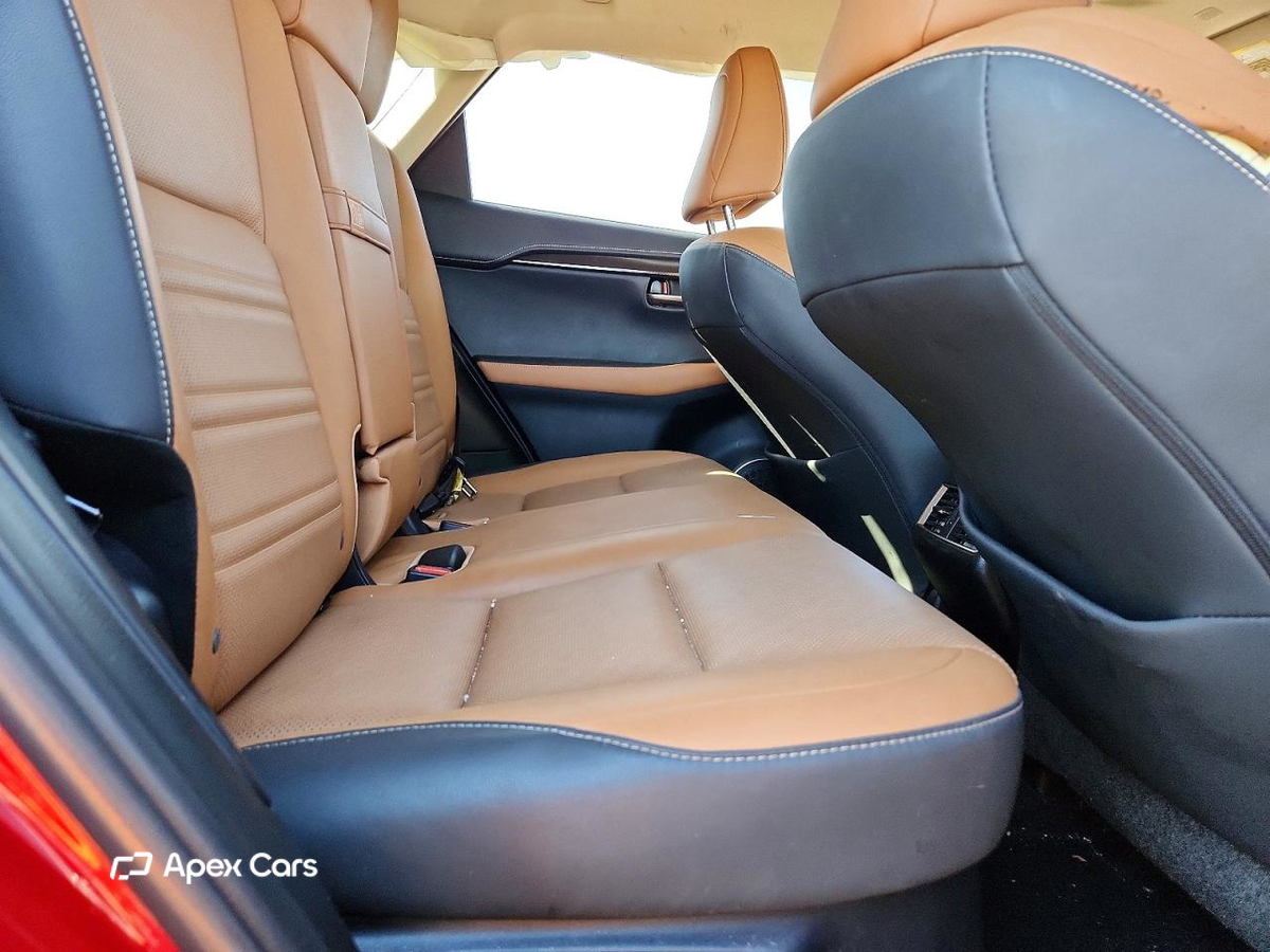 Lexus NX 2019