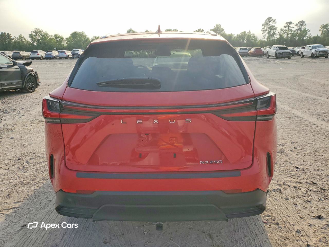 Lexus NX 2024