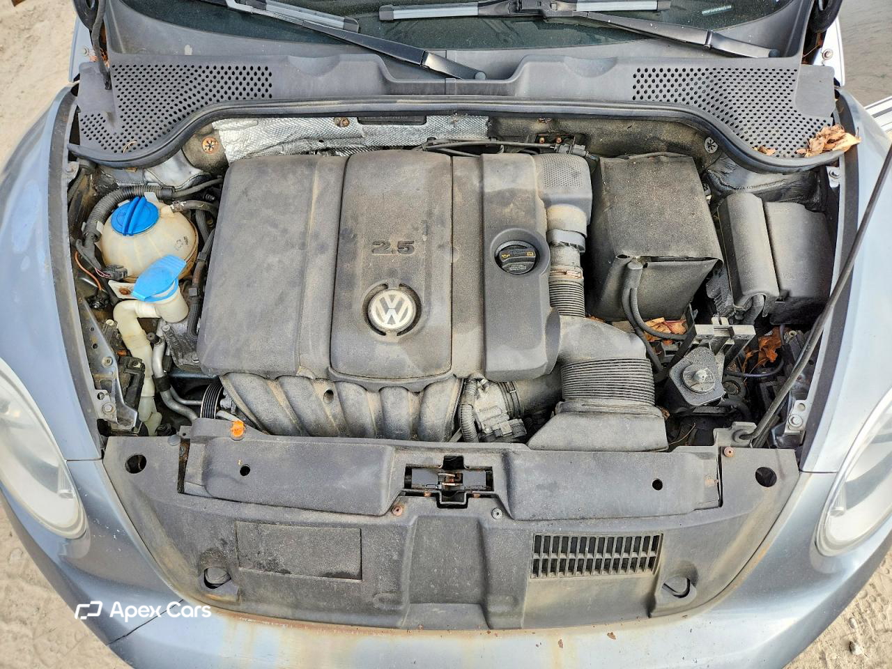 Volkswagen Beetle 2012