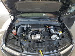 Dodge Hornet 2024