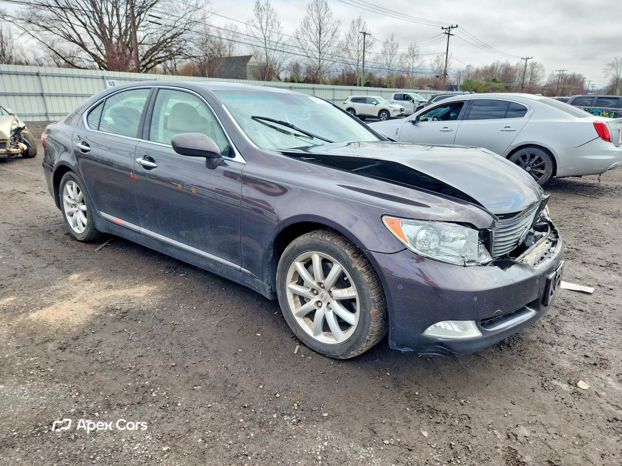 Lexus LS 2008