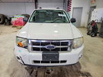 Ford Escape 2010