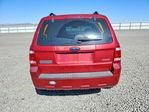 Ford Escape 2008