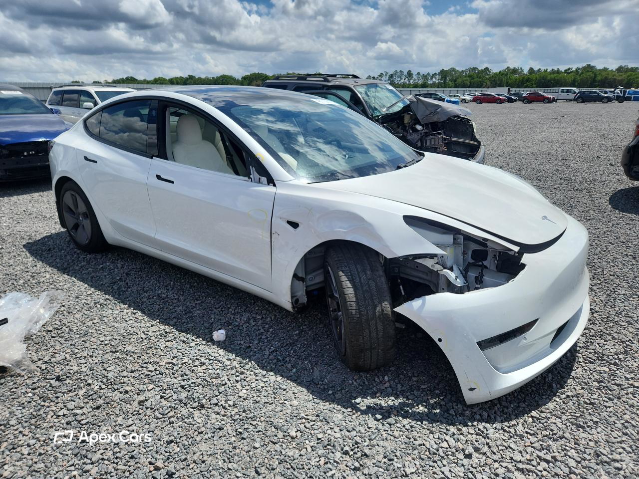 Tesla Model 3 2021