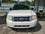 Ford Escape 2011