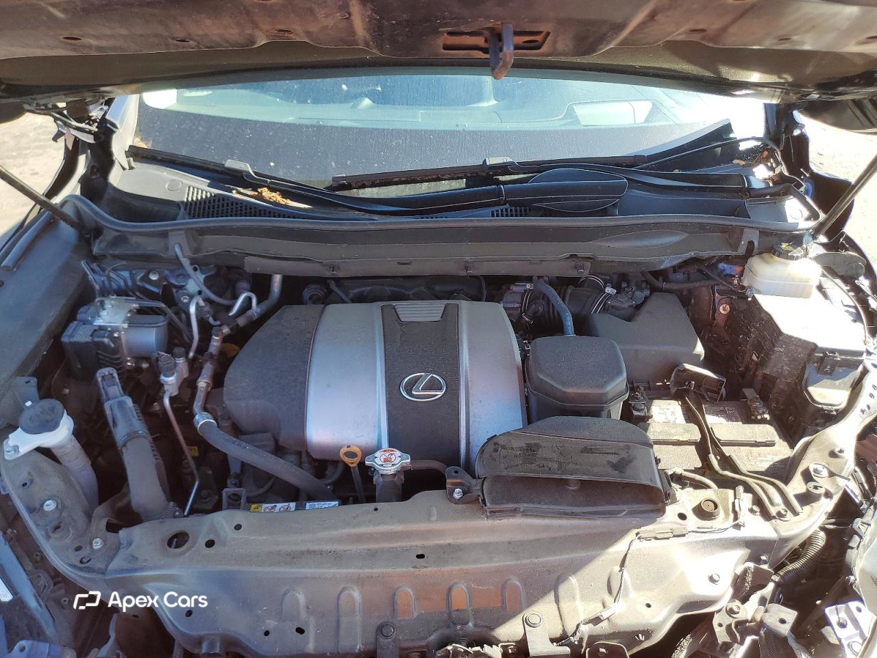 Lexus RX 2021