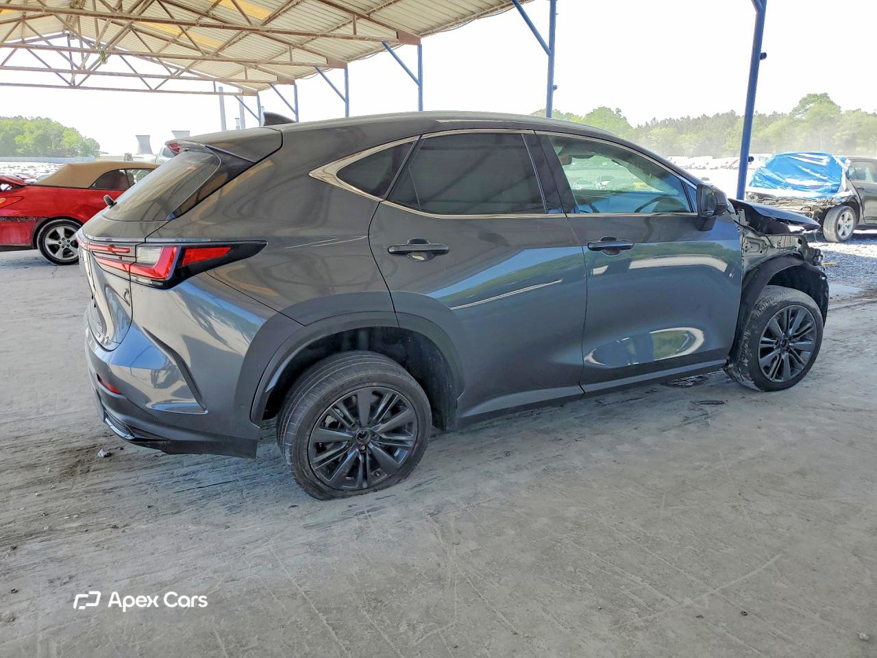 Lexus NX 2025