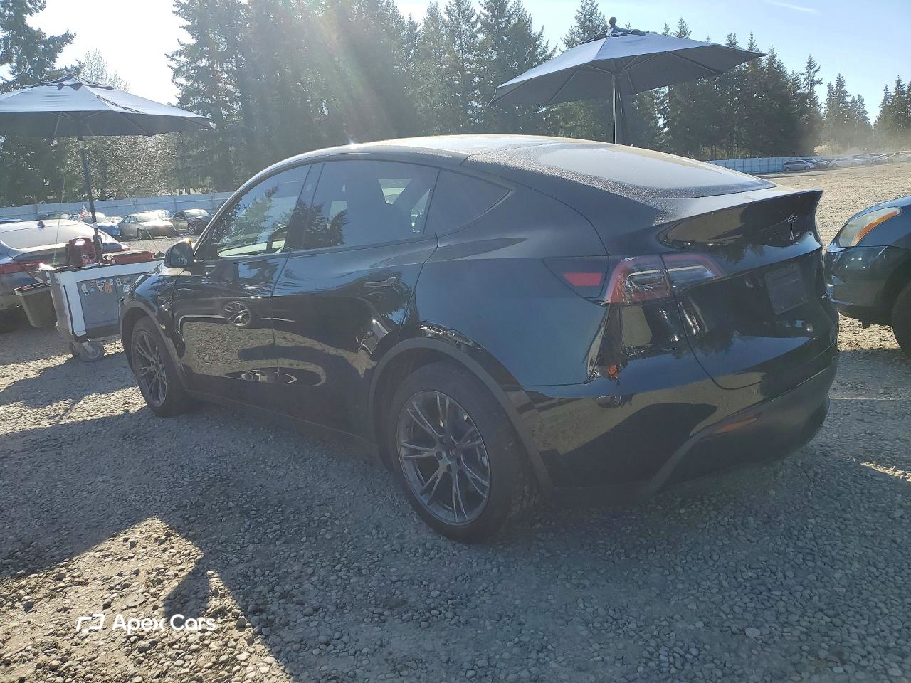 Tesla Model Y 2025