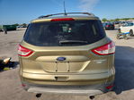 Ford Escape 2013