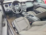 Ford Mustang 2011