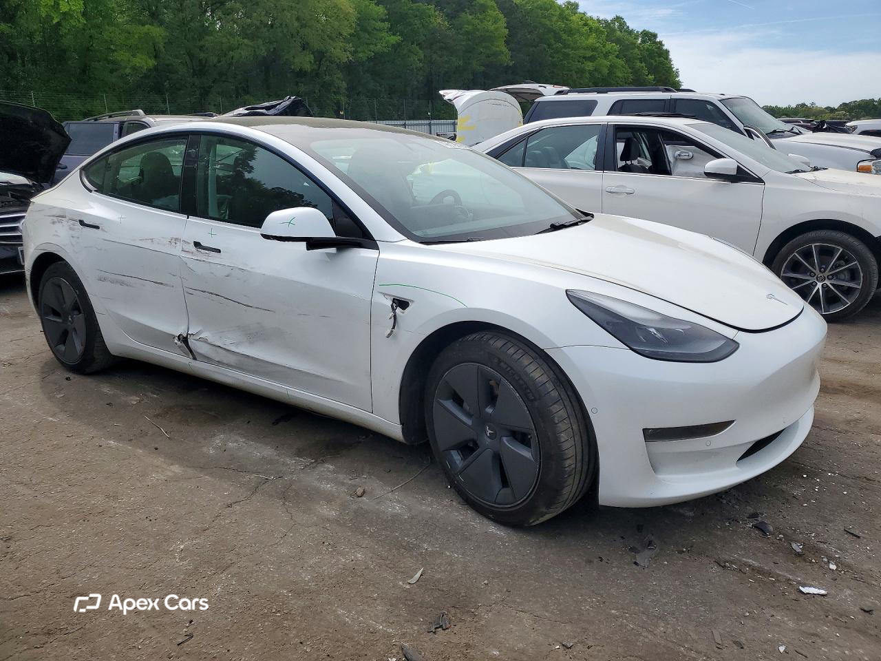 Tesla Model 3 2021