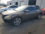 Nissan Maxima 2012