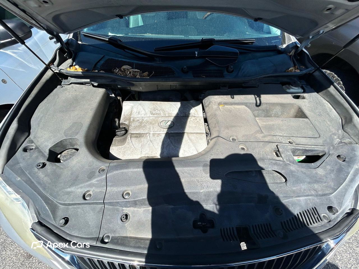 Lexus RX 2010