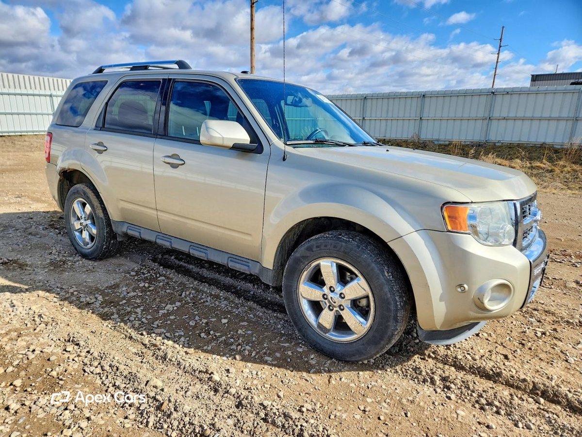 Ford Escape 2011