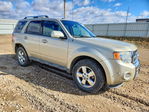 Ford Escape 2011