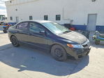 Honda Civic 2009