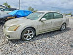 Nissan Maxima 2007