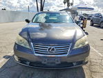Lexus ES 2010