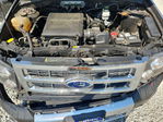 Ford Escape 2011