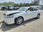 Lexus ES 2007