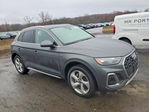 Audi Q5 2023